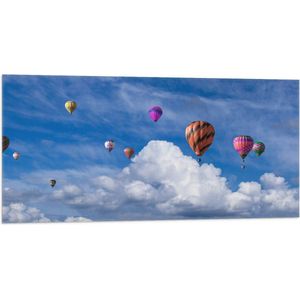 WallClassics - Vlag - Groepje Gekleurde Luchtballonnen bij Wolken in Blauwe Lucht - 100x50 cm Foto op Polyester Vlag