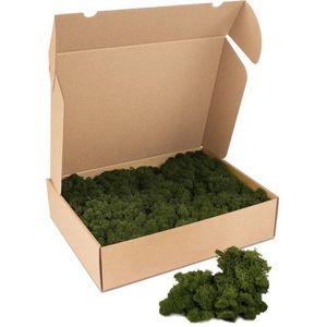 Kleine doos rendiermos - kleur mos: Moss Green (voor o.a. decoratie, mosschilderij of moswand).