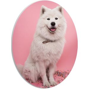 WallClassics - PVC Schuimplaat Ovaal - Portret van Witte Hond tegen Roze Achtergrond met Confetti - 30x40 cm Foto op Ovaal (Met Ophangsysteem)