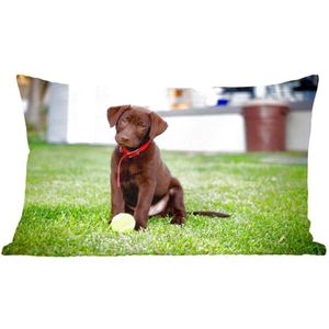 Sierkussens - Kussen - Labrador Retriever puppy met een tennisbal - 50x30 cm - Kussen van katoen