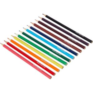 12 Kleurpotloden - Colouring Pencils - Goede grip - Back to School - Schoolcampus - FSC®-gecertificeerd hout: verantwoord hout