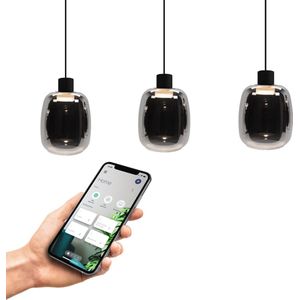 EGLO connect.z Molochio-Z Smart Hanglamp - LED - 88 cm - Zwart/Smoke/Rookglas - Instelbaar RGB & wit licht - Dimbaar - Zigbee