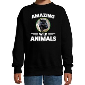 Sweater panter - zwart - kinderen - amazing wild animals - cadeau trui panter / zwarte panters liefhebber 134/146