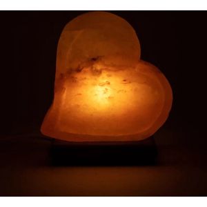 Zoutlamp dubbel hart met snoer en LED lamp
