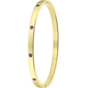 Lucardi Dames Goldplated Armband Bangle Geboortestenen - Staal - Armband - Cadeau - Stijlvol