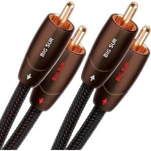 Audioquest Big Sur 2x RCA naar 2x RCA Kabel - Audio Kabel - 0,6m