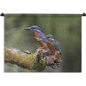 Wandkleed Ijsvogel - Ijsvogels met vis Wandkleed katoen 180x135 cm - Wandtapijt met foto