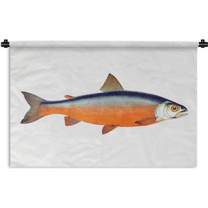 Wandkleed Vissen - Oranje zalm vis op een witte achtergrond Wandkleed katoen 90x60 cm - Wandtapijt met foto