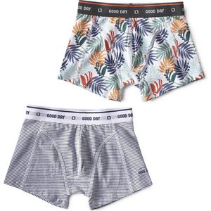 Little Label - boxershorts 2-pack - mini stripe blue & palm leaves green - maat: 92 - bio-katoen