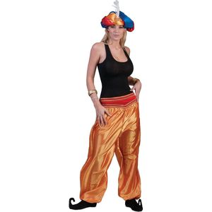 1001 Nacht & Arabisch & Midden-Oosten Kostuum | Gouden Oosterse Broek Vrouw | One Size | Carnaval kostuum | Verkleedkleding