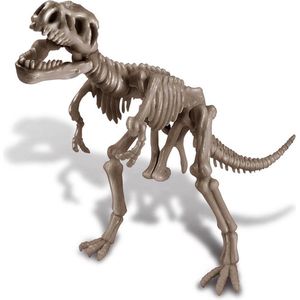 4M - STEAM toys - 4M Kidzlabs Dinosaur Graaf Je Dinosaurus Op Tyrannosaurus Rex