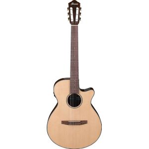 Ibanez AEG50N NT Nylon String - 4/4 Klassieke gitaar