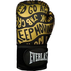 Everlast Spark Training Gloves 14oz