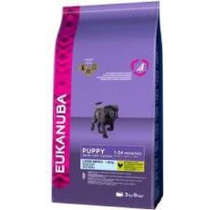 Eukanuba Dog Puppy Large Breed - 12 KG