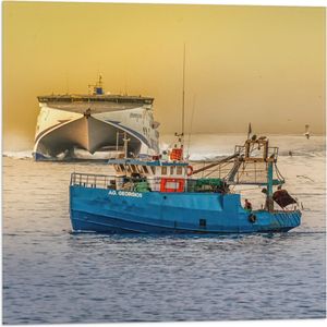 WallClassics - Vlag - Blauwe Vissersboot omringd door Zeemeeuwen - 50x50 cm Foto op Polyester Vlag