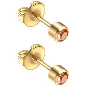 Caflon 4mm 24K gold plated oorknopjes voor oorschieter hypoallergeen steriel verpakt goudkleurig met goudkleurig steen geboortesteen november