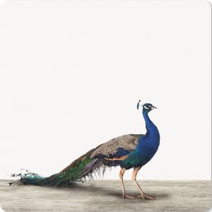 Muismat XXL - Bureau onderlegger - Bureau mat - Pauw - Veren - Vogel - Kinderen - Jongens - Meisjes - 80x80 cm - XXL muismat