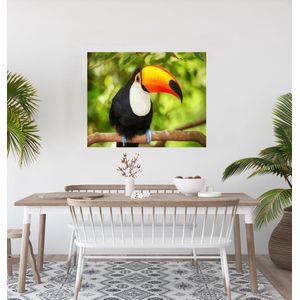 JDBOS ® Schilderen op nummer Volwassenen met frame (hout) - Toekan vogel  - Verven volwassenen - 40x50 cm