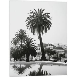 WallClassics - Vlag - Palmbomen in Amerikaanse Buurt (Zwart- wit) - 60x80 cm Foto op Polyester Vlag