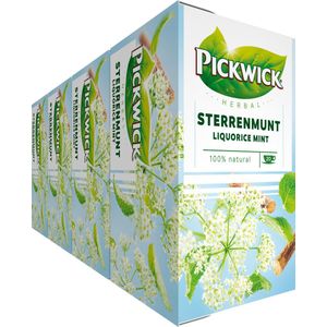 Pickwick Sterrenmunt Kruidenthee - 4 x 20 theezakjes
