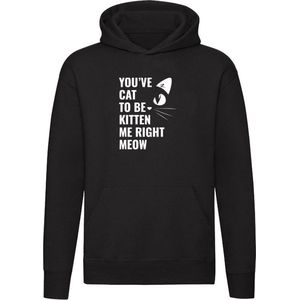 You've cat to be kitten me right meow - You've got to be kidding me right now Hoodie - kat - dieren - huisdier - schattig - poes - grapje - lol - lachen - sarcasme - engels - woordgrap - humor - grappig - unisex - trui - sweater - capuchon