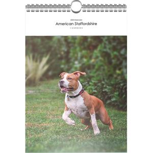 American Staffordshire Kalender A4 - 2025 Kalender - 1 januari t/m 31 december - 300gms Glimmend Papier - Spiraalgebonden - Ophanghaakje -