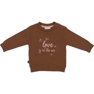 Frogs and Dogs - Winter Flower Sweater Love Hearts is in the Air - Roze - Maat 50 -