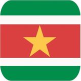 15x Bierviltjes Surinaamse vlag vierkant - Suriname feestartikelen - Landen decoratie