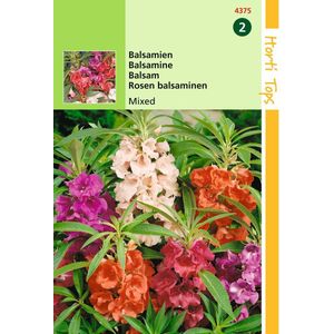 2 stuks - Hortitops - Impatiens Balsamina Balsamine Dubbelbl. Gemengd