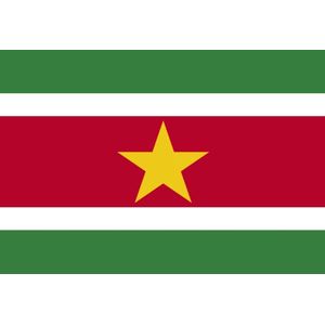 CHPN - Vlag - Vlag van Suriname - Surinaamse vlag -Surinaamse Gemeenschap Vlag - 90/150CM - Republic of Suriname - Suriname - Zuid Amerika - Paramaribo