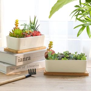 16,5CM Succulente Plantenpot Set van 2, Rechthoek Keramiek Vetplant Bloempot met Bamboe Onderzetter, Binnen Klein Cactus Pot met Afvoergat Wit voor Sappige Aloë Kruid Decoratieve Geschenk