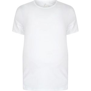 Alca ronde hals T-Shirt Ronde Hals Usa Wit 4XL | Grote maten |Buikmaat 137 -142 cm buikomvang | XXXXL