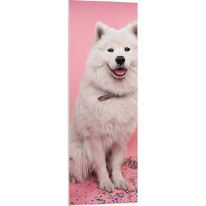 WallClassics - PVC Schuimplaat - Portret van Witte Hond tegen Roze Achtergrond met Confetti - 40x120 cm Foto op PVC Schuimplaat (Met Ophangsysteem)