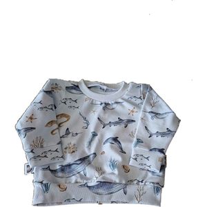 Shirt lange mouw Zeedieren - Wit/Blauw - Little Adventure - Maat 62/68 - Dierenprint - GOTS keurmerk