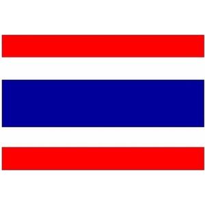 Mini vlag Thailand 60 x 90 cm