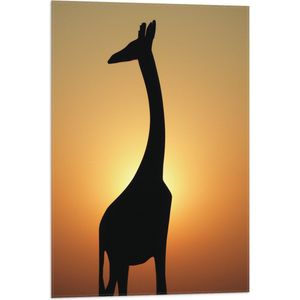 WallClassics - Vlag - Silhouet van Giraffe bij Feloranje Lucht - 50x75 cm Foto op Polyester Vlag