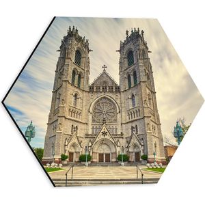 WallClassics - Dibond Hexagon - Kathedraakbasiliek van het Heilig Hart in New Jersey - 30x26.1 cm Foto op Hexagon (Met Ophangsysteem)