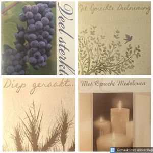 4 Luxe Deelneming Condoleance Wenskaarten - 4 Motieven - Oprechte Deelneming - Condoleance - Sterkte - Sterfgeval - Touche Cards - Met Envelop - 16.5x11.5cm - Beileid - Condolence