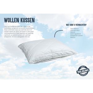 Texel Balance - Hoofdkussen wol