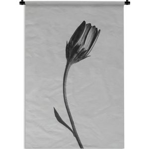 Wandkleed Abstracte Bloemen - Zwart-wit close-up van de abstracte Sint-Jozefplant Wandkleed katoen 60x90 cm - Wandtapijt met foto