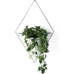 Wandvaas & geometrische decoratie - plantenbak voor kamerplanten, vetplanten, luchtplanten, cactussen, kunstplanten en meer, wit/nikkel, groot