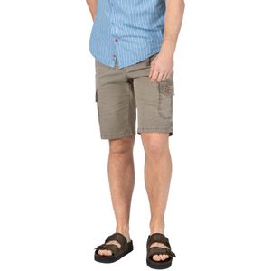 TIMEZONE Heren Short REGULAR RYKERTZ SHORT regular/straight Beige W 29 Volwassenen