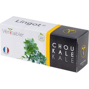 Véritable® Lingot® Organic Kale - BIO KALE (KOOL) navulling voor alle Véritable® binnenmoestuin-toestellen