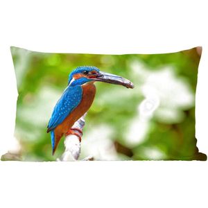 Sierkussen Ijsvogel voor binnen - Ijsvogel met vangst - 50x30 cm - rechthoekig binnenkussen van katoen