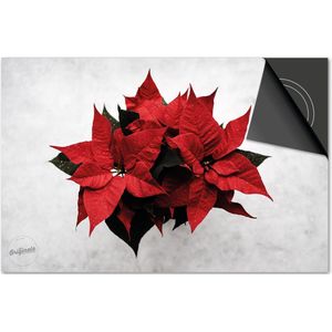 Inductie beschermer 90x52 - afdekplaat inductie mat - Dietrix Kookplaat beschermer - Exclusief - Feestdagen - Kerstster plant