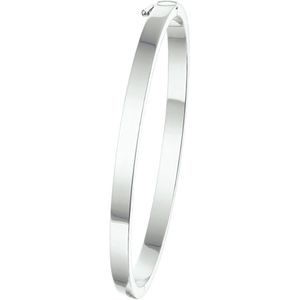 Bangle Scharnier Vlakke Buis 4 X 60 Mm