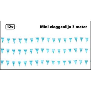 12x Mini vlaggenlijn blauw/wit geruit 3 meter - 10cm x 15cm - Festival thema feest party verjaardag gala vlag lijn