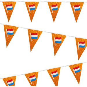Oranje Vlaggenlijn met Nederlandse vlag 6 meter - Vlaggetjeslijn voor voetbal EK WK en Koningsdag