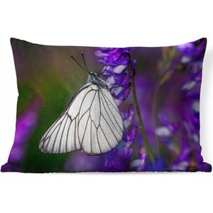 Sierkussens - Kussen - Groot geaderd witje vlinder op een bloem - 60x40 cm - Kussen van katoen