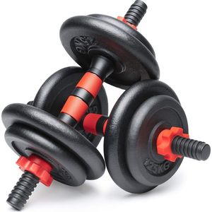 Dumbbell Set van 2 gietijzeren 15kg/20kg/30kg - Halterset voor Fitness met Gewichten en Stersloten